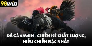 Đá gà 98win